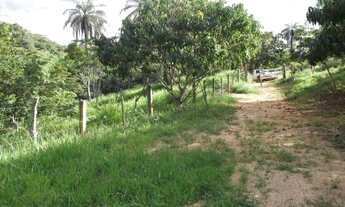 Imagem: Fazendinha rural de 6.5 ha todo formado