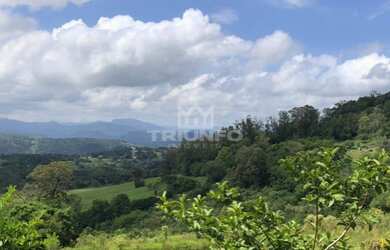 Imagem 8: Sítio Chácara com venda por R$259.000