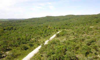 Imagem 3: Chácara 5.000 m2 Serra das Areias Aparecida de Goiânia