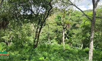 Imagem 4: Terreno à venda, 7.675,07 m² - Lagoa - Guaramiranga/CE