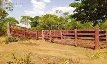 Imagem 6: Fazenda 23 KM de Porto Nacional