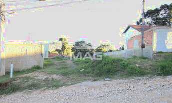 Imagem 7: COLOMBO - Terreno Padrão - Guaraituba