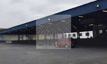 Imagem 7: SÃO PAULO - Galpão/Depósito/Armazém - VILA LEOPOLDINA