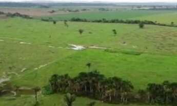 Imagem 4: Fazenda 396 alqueires Alto Paraíso