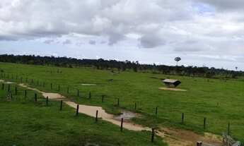 Imagem 5: Fazenda 396 alqueires Alto Paraíso