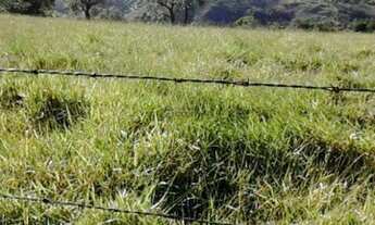 Imagem 4: Área à venda no bairro Caputera - Sorocaba/SP