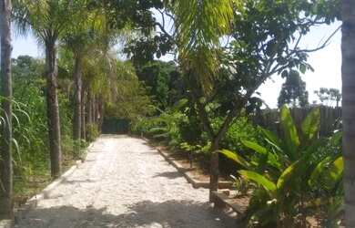 Imagem 2: Chácara com 5 Dormitórios à Venda, 5077m² Por R$ 650.000,00 - Pinheirinho - Taubaté/SP