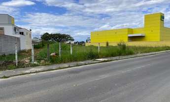 Imagem 5: Terreno a 70 metros da Marginal da BR 101 com 3.368 m² no Aririú - Palhoça - SC
