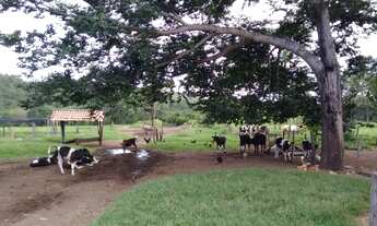 Imagem 2: Fazenda para venda 25 Alqueires em Zona Rural - Heitoraí - GO