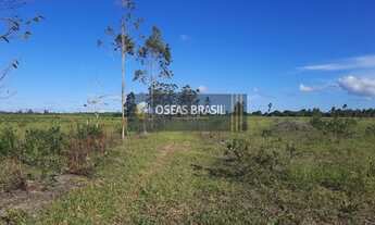 Imagem 2: Fazenda em Br 367 - Porto Seguro, BA