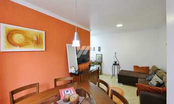 Imagem: CURITIBA - Padrão - Xaxim