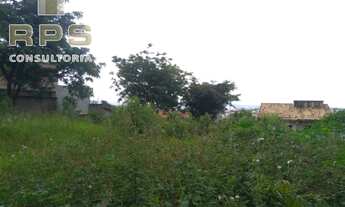 Imagem 6: Terreno Bem Localizado e Ótima Topografia