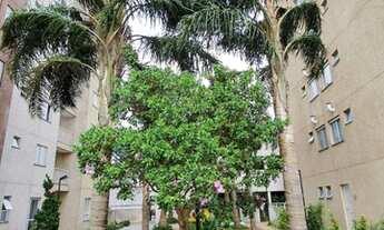 Imagem 4: Apartamento 2 dormitórios, varanda e vaga em Pirituba