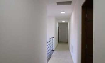 Imagem 5: SãO PAULO - Padrão - Vila Gustavo