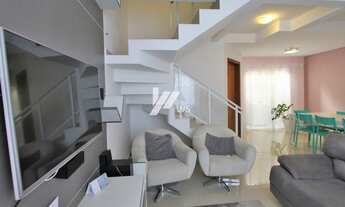 Imagem 5: CURITIBA - Padrão - Xaxim