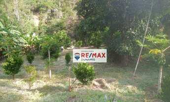 Imagem 2: Excelente sítio à venda, 60,000 m² por R$ 250.000 - Fazenda Alpina - Teresópolis/RJ