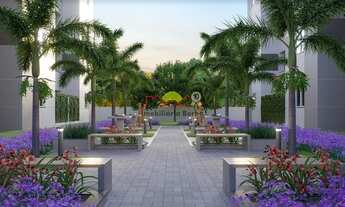 Imagem 7: Joinville - Apartamento Padrão - Pirabeiraba