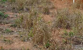 Imagem 7: VENDE-SE LINDA CHÁCARA. c/3.200mtrs