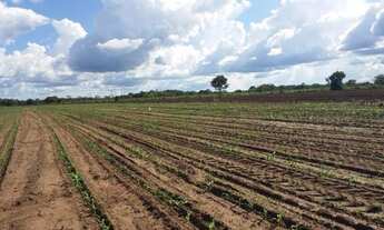 Imagem: Fazenda/Sítio/Chácara para venda tem 2700000