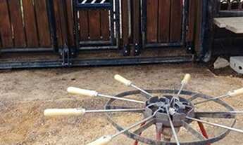 Imagem 5: Chácara à venda em Santa Fé de Minas/MG