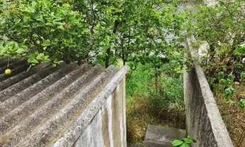 Imagem 4: Casa à venda, 4 quartos, 1 suíte, 2 vagas, VILA BELA - São Paulo/SP