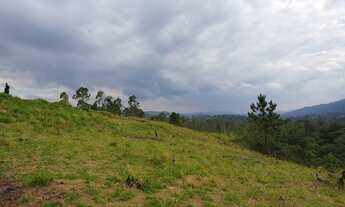 Imagem 2: O terreno perfeito para você!