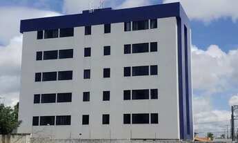 Imagem: Jardim camboinha