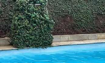 Imagem 3: Excelente Casa a venda 511 m2 5 dorm. V.Campos Sales, localização e conforto esperam por v