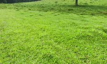 Imagem 4: T.e - Vendo terreno com uma ótima negociação