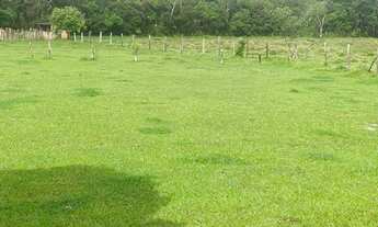 Imagem 2: T.e - Vendo terreno com uma ótima negociação