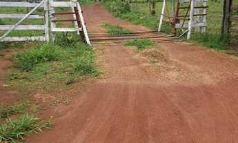 Imagem 3: Fazenda a venda em Alexânia - GO