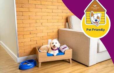 Imagem 7: Pacote de 7 dias no Resorts do Beach Park mais parque para até 5 pessoas por 4 mil reais