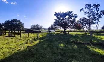 Imagem 6: Sítio 15 alqueires entre Ruilandia e Jaci