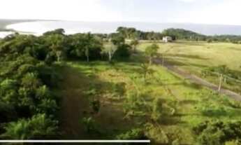 Imagem 2: Terreno Itacaré