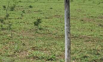 Imagem 4: Fazenda a venda em Alexânia - GO