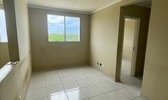 Imagem 4: Jardim América / oportunidade