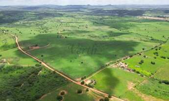 Imagem 2: Fazenda à venda 172 hecteres, Jeremoabo - Bahia