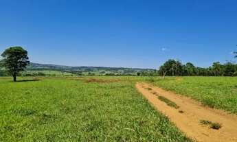 Imagem 2: Fazenda a venda 21 alqueires em Caturai-Go
