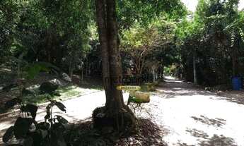 Imagem 4: Terreno à venda, 600 m² por R$ 198.000,00 - Sítio Jandaia - São Bernardo do Campo/SP