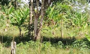 Imagem 2: Terreno Fazenda / sítio com venda por R$200.000