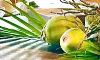 Imagem 2: Ilha Paradisíaca para locação diária em Jacuacanga em Angra dos Reis - RJ