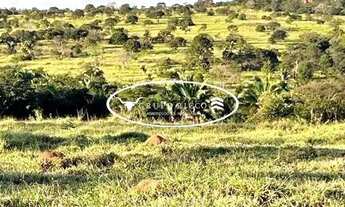 Imagem: Fazenda de Oportunidade à Venda em Iporá-GO