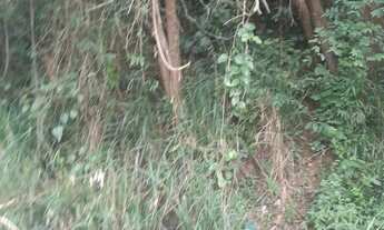 Imagem 2: Vende-se terreno 15x25