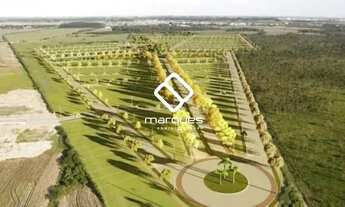 Imagem 6: Terreno Pelotas RS brasil