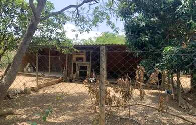 Imagem 7: Sitio rural 19.000m² com excelente casa, muito verde, ótima localização, Jaboticatubas