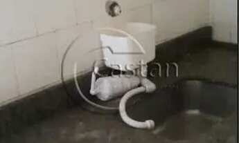 Imagem 7: Galpão/Depósito/Armazém em Mooca