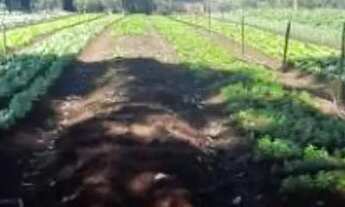 Imagem 5: Chácara à venda, 3269 m² por R$ 200.000,00 - Zona Rural - Rio Verde/GO