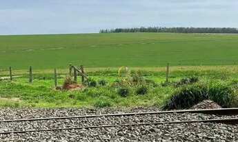 Imagem 5: Fazenda 15.000 hectares a venda em Itiquira em Mato Grosso!