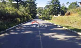 Imagem 3: Lote em Rua Arcenio Schimitt - Salto Eletra - São Francisco de Paula/RS