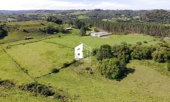 Imagem 6: Área rural com 67 ha, casas, açude e pinus